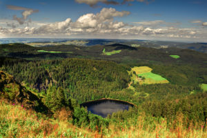 Black Forest; Credit; Willequet Manuel-Shutterstock