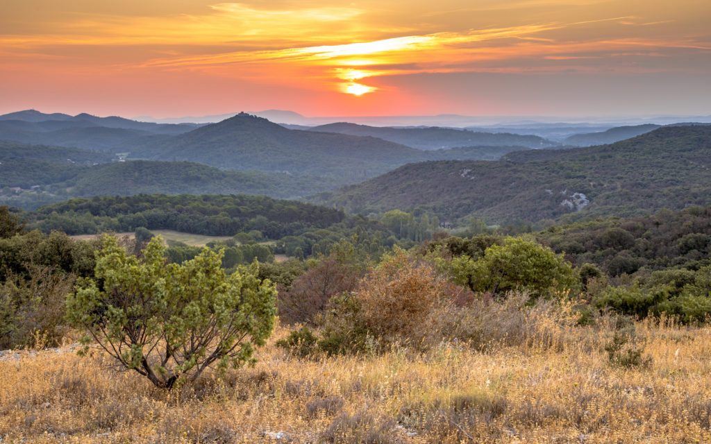 Cevennes National Park in France (Photo by Rudmer Awerver, Shutterstock)