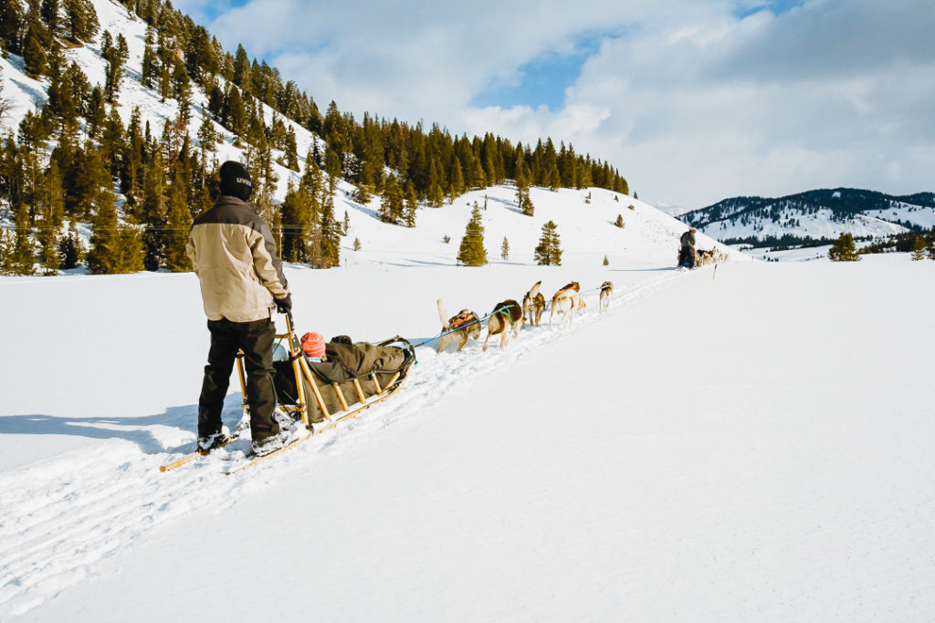 At Snake River, dog sledding also comes into play.