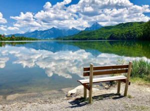 Germany’s Black Forest (Instagram photo by kar_aritra)