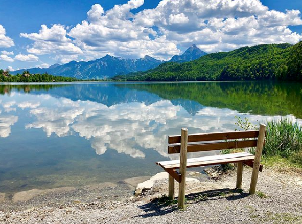 Germany's Black Forest (Instagram photo by kar_aritra)