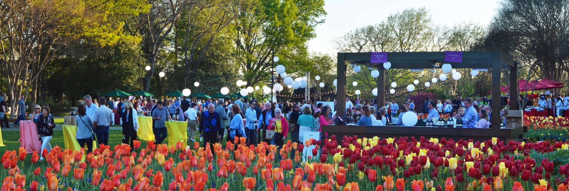 dallas arboretum food and wine