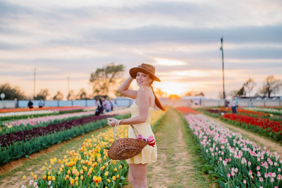 San Antonio's New Tulips Wonderland Comes From Dallas' Flower Wizards