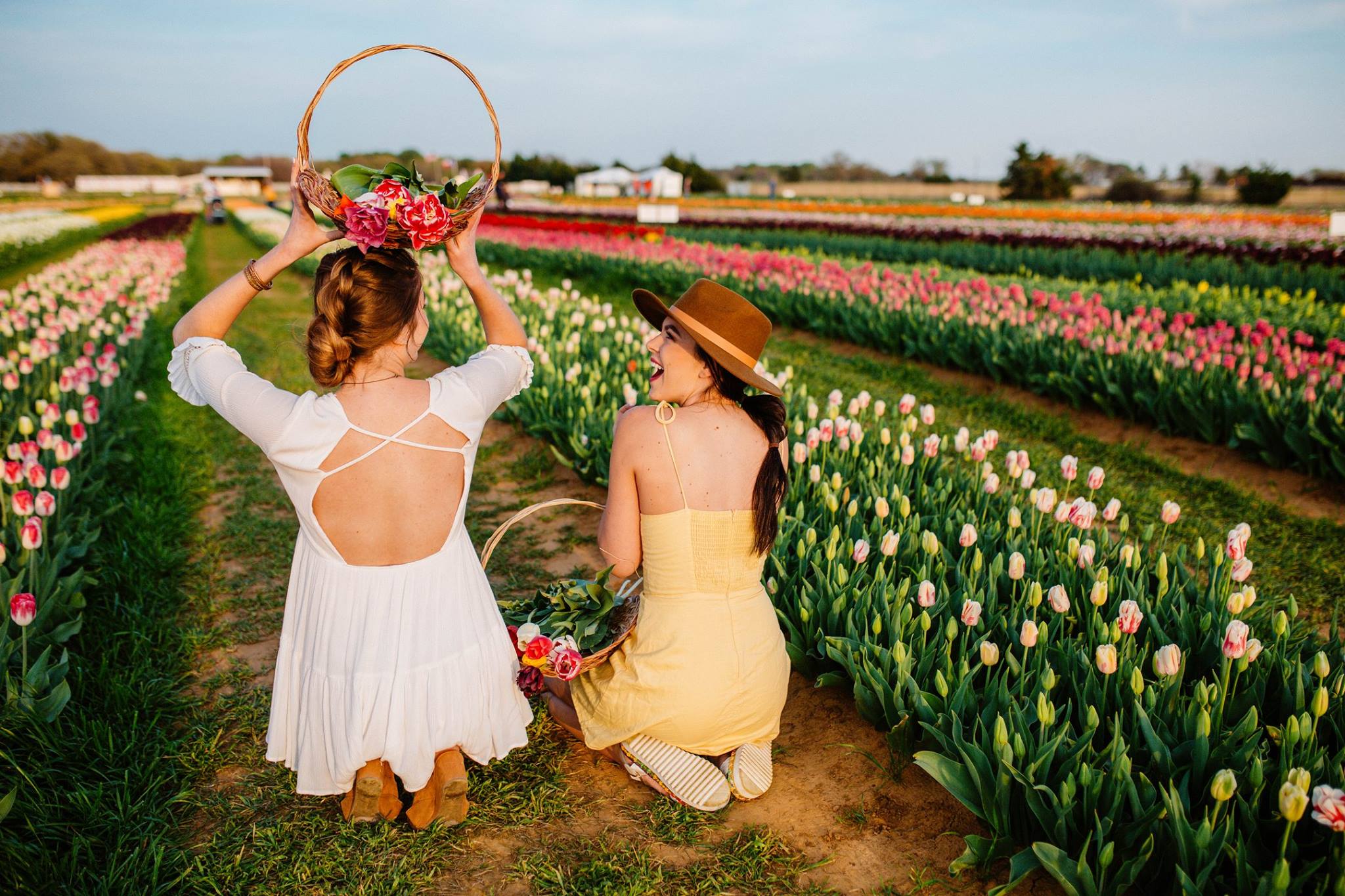 San Antonio's New Tulips Wonderland Comes From Dallas' Flower Wizards