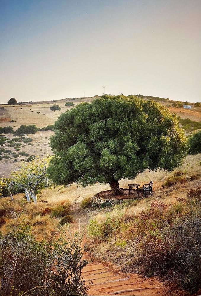 Adam Lippes looked to "the Rohuna magic of Umberto Pasti" for inspiration for his fall '20 collection. (Courtesy of Adam Lippes)