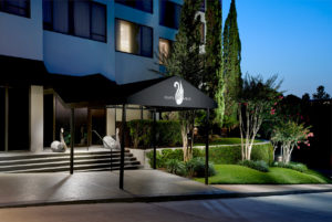Black Swan Entrance