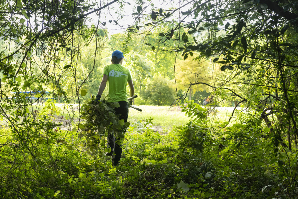 Halls Bayou is one of those green spaces that give Houston a soul.