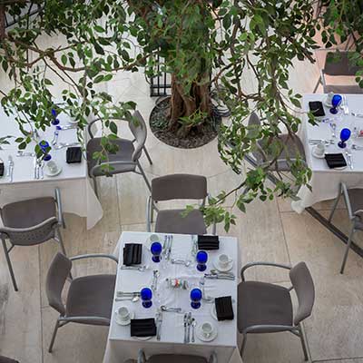 Dining at Opus is a feast for the senses.