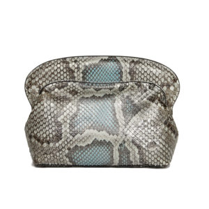 Hayward Ballou python clutch