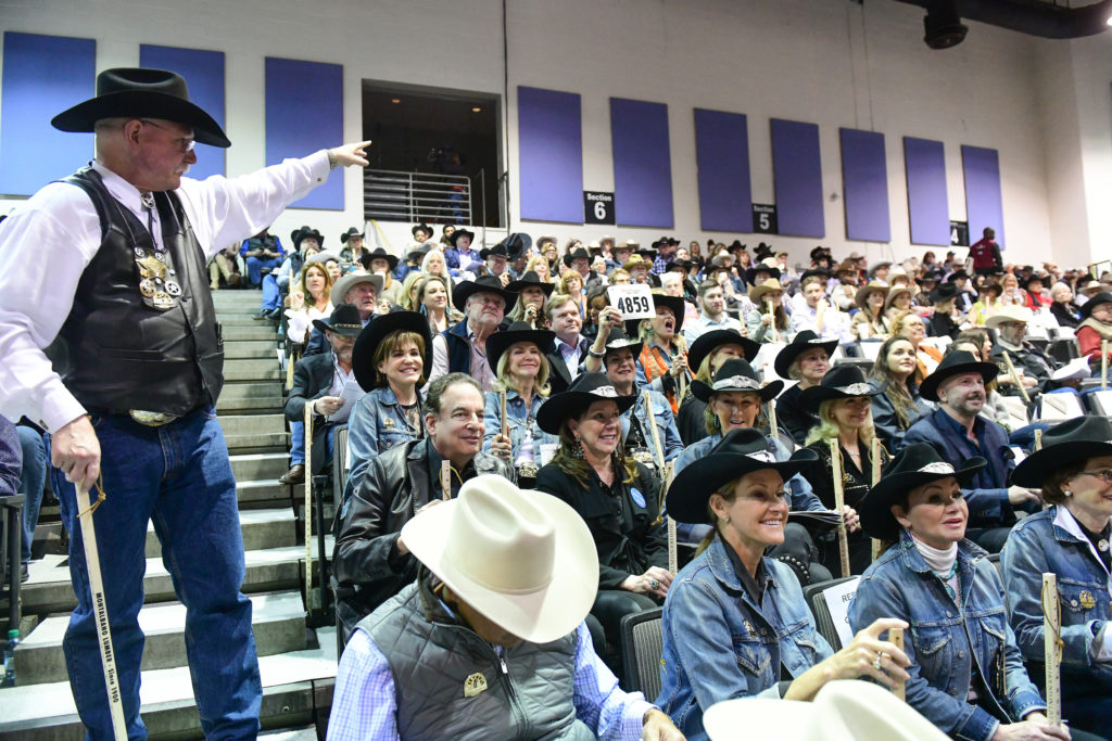Michael Francisco, known as the Wrangler, while  herding the Champagne Cowgirls, pictured here at the 2019 auction.