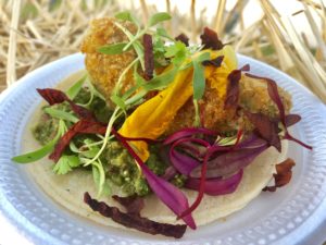 FWFWF squash blossom (Photo by (Photo by Courtney Dabney).)