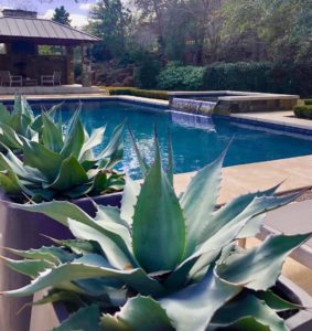 gardens – modern and minimal