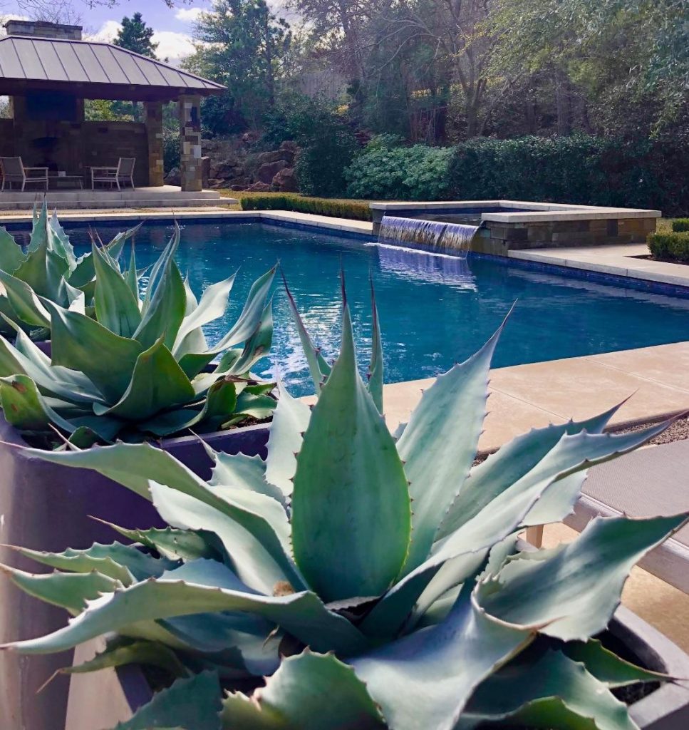 Modern and minimal gardens surround a pool.