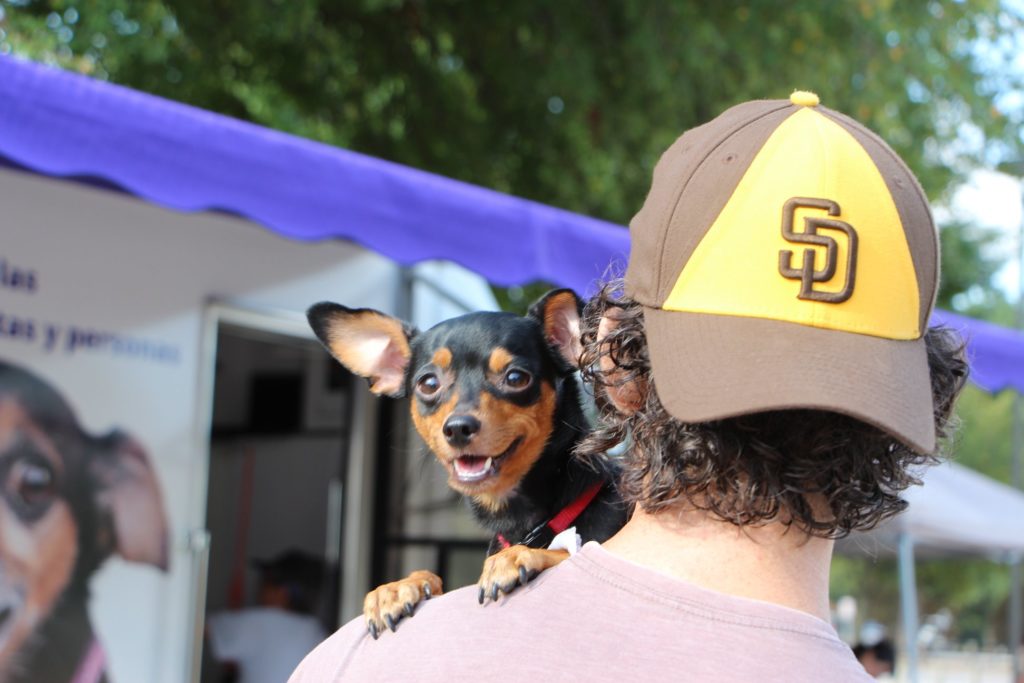 spca