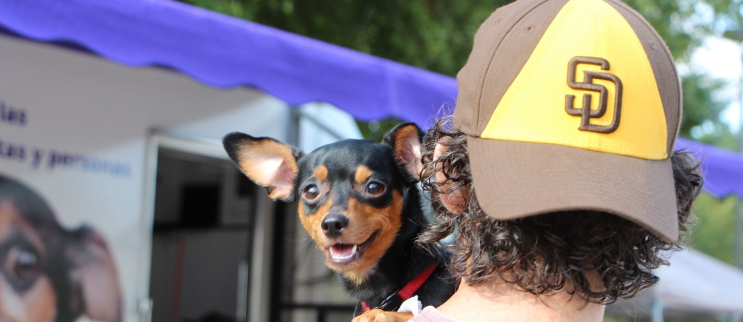 spca