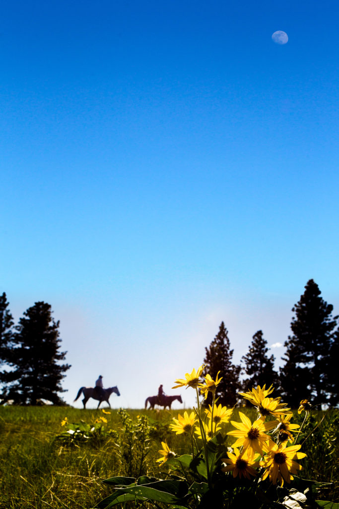 Surrounded by pastures, forests and the rolling foothills of majestic Rocky Mountains, The Resort at Paws Up is essentially a Montana dude ranch come to life