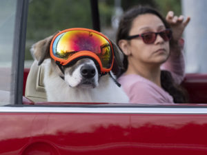 Social activists protest the policies of United States Senator John Cornyn, (R-TX) outside his Houston office Tuesday morning after the outbreak of Covid-19 (Photo by F. Carter Smith)