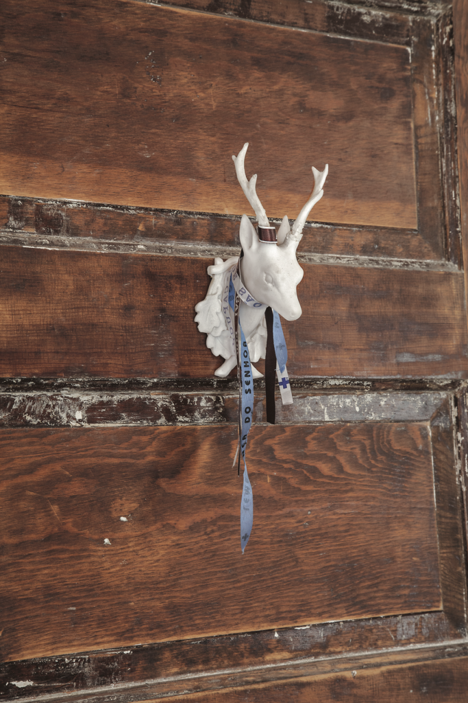Cynthia Mulcahy and Robert Hamilton, published July 2013. Photographed by James Bland. At the Oak Cliff home of curator Cynthia Mulcahy and artist Robert Hamilton, cast deer head by Cody Foster from Grange Hall, with Bahian religious ribbons brought back from sabbatical trips to Rio de Janeiro.