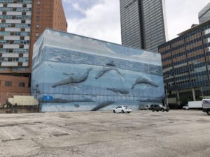 Whaling Wall Dallas