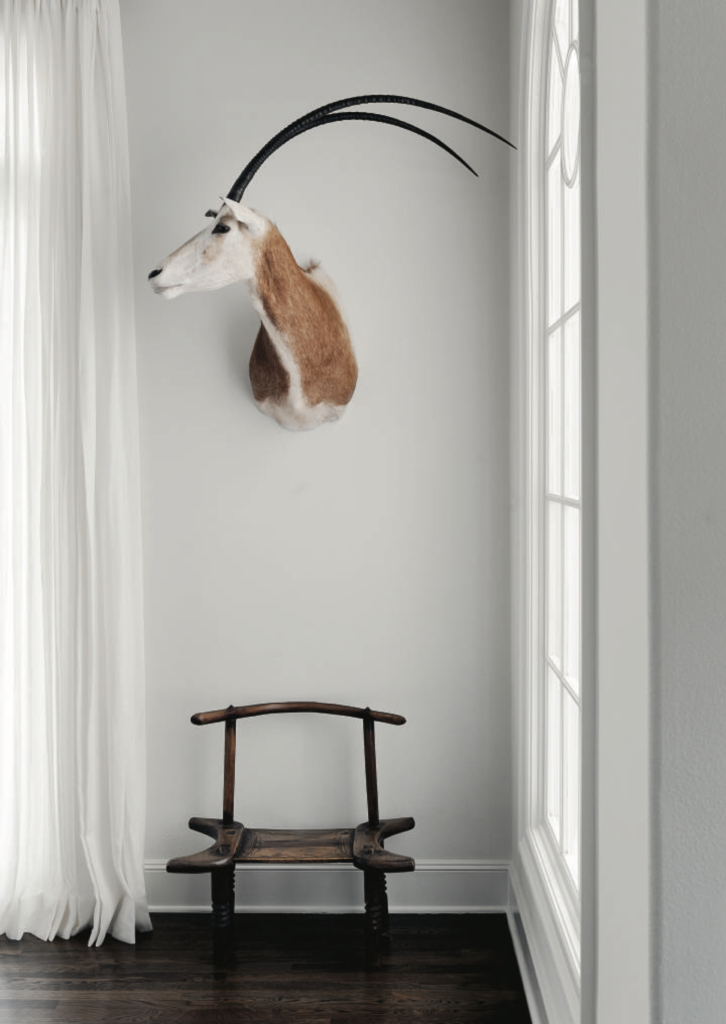 Renea Abbott and Greg Manteris, published July 2102. Photographed by Jack Thompson. In designer Renea Abbott and husband Greg Manteris’s Austin home, antelope taxidermy mount from Lewis & Maese Auction House. Small African chair bought at a Santa Fe flea market. 