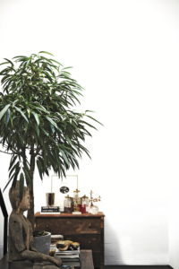 Rob Dailey, published October 2012. Photographed by Cesar Ramirez.