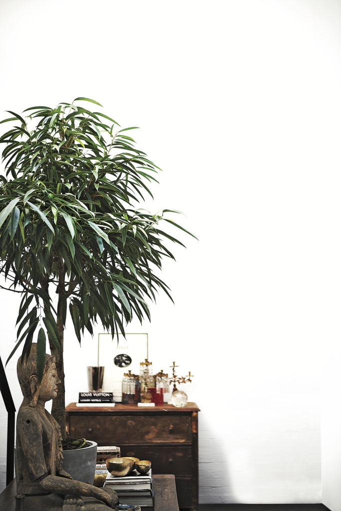 Rob Dailey, published October 2012. Photographed by Cesar Ramirez. In designer Rob Dailey’s Bud Oglesby-designed townhome, an assemblage of found objects on a chest from San Miguel de Allende, a carved god, and white space to breathe.