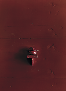 Salle Werner-Vaughn, published September 2012. Photographed by Jenny Antill and Jack Thompson.