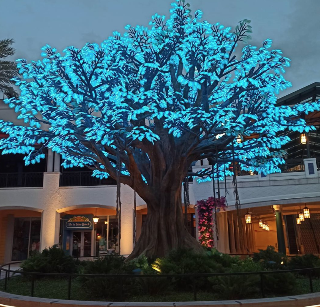 The Wishing Tree in Rosemary Square in West Palm Beach (Instagram photo @wpblifestyle)