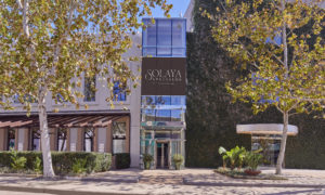 Solaya Spa and Salon is the only spa in the country to carry the Orveda line.