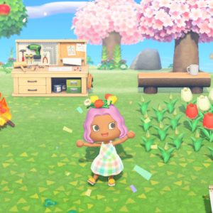 Animal Crossing video game Switch