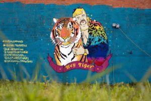 tiger king mural dallas tv shows