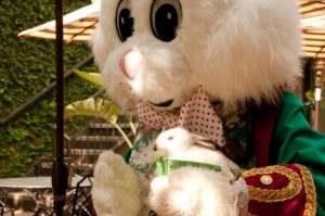 The-Bunny-and-lil-bunny-f4ee6