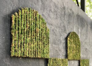 Uptown – Moss Wall