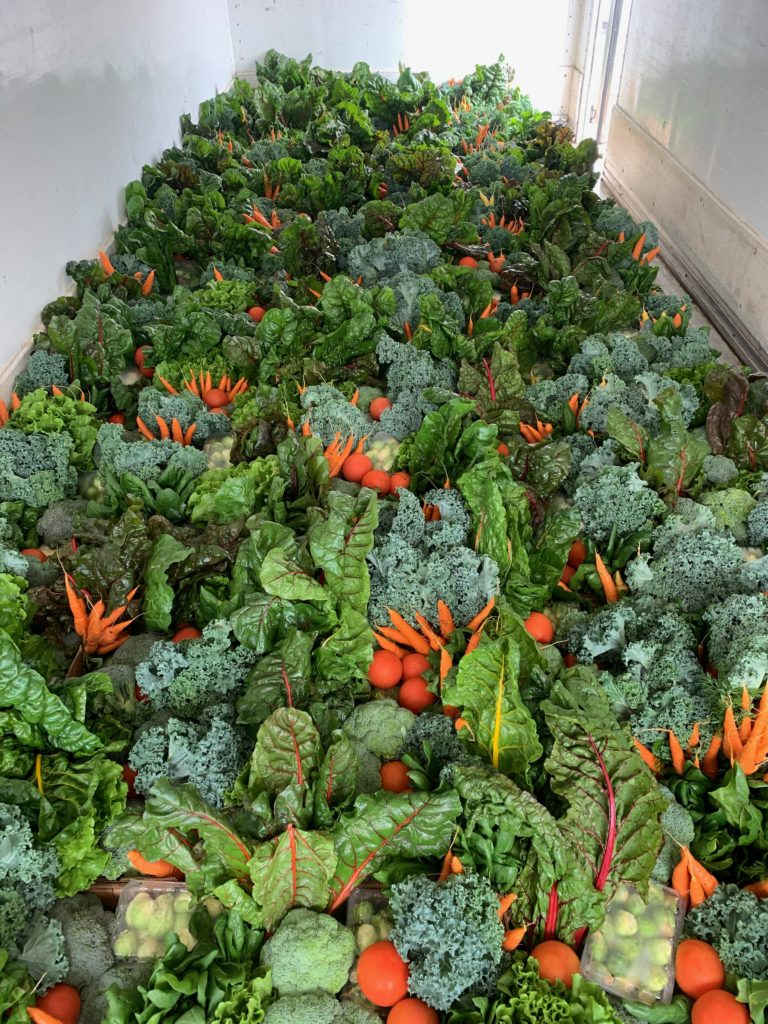 Beautiful produce from Urban Harvest, the likes of which will be featured at the Sunday Supper series. 