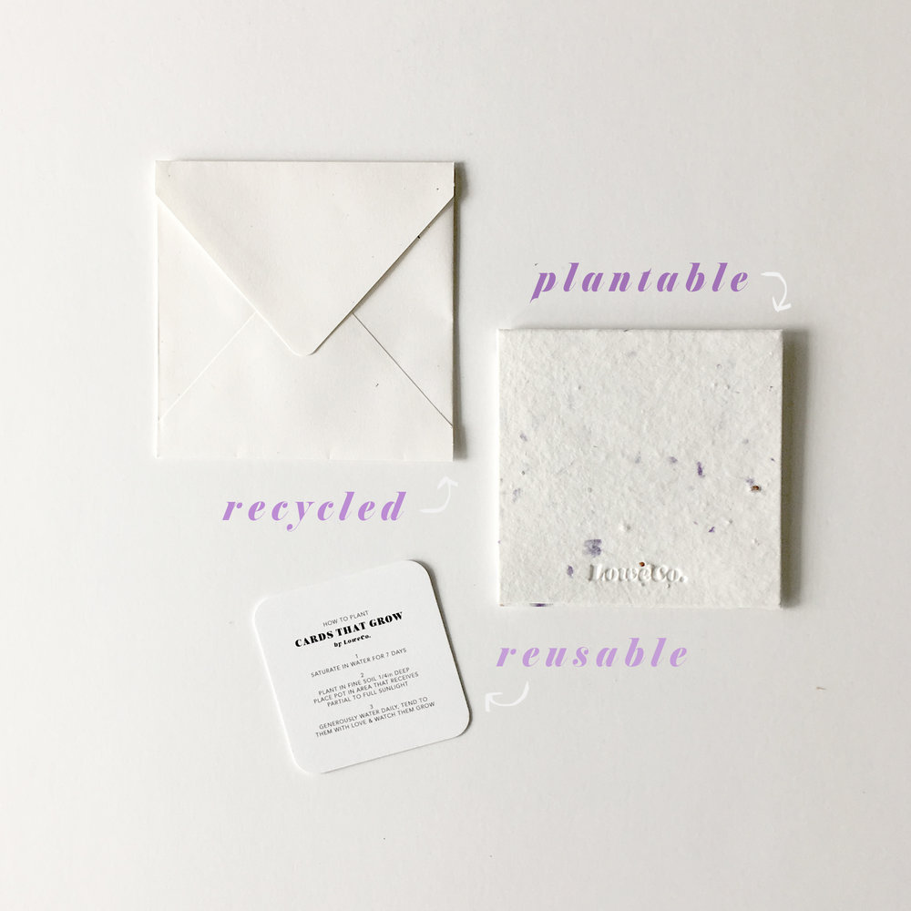 sustainable cards lowe co earth day