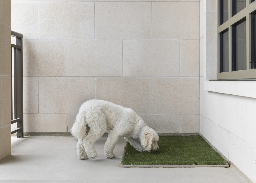 The Revere at River Oaks takes special care to accommodate pets. (Photo by Julie Soefer)