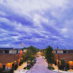 Mule Alley