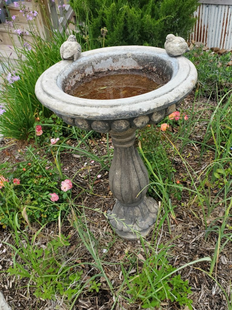 An antique fountain between the two silo guesthouses. (Photo by Shafik I. Rifaat)