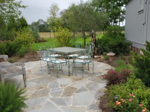 20200418_143145 (Photo by Shafik I. Rifaat)