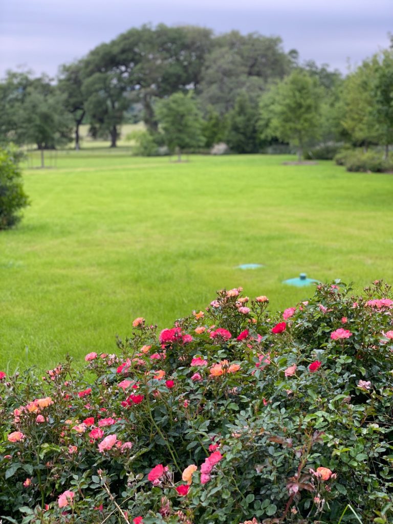 The rolling landscape surrounding the silo guesthouses in Round Top.  (Photo by Shafik I. Rifaat)