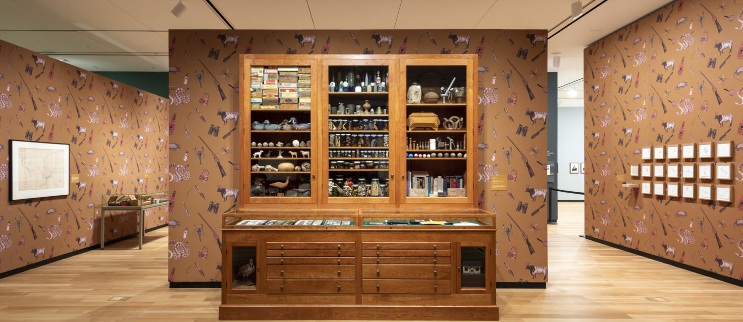 Mark Dion (b. 1961), The Texas Cabinet, 2020, wooden cabinet filled with objects from Dions travels, courtesy of the artist and Tanya Bonakdar Gallery