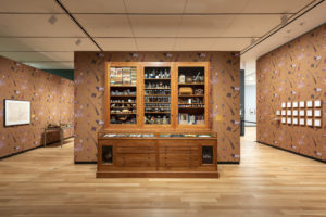 Mark Dion (b. 1961), The Texas Cabinet, 2020, wooden cabinet filled with objects from Dions travels, courtesy of the artist and Tanya Bonakdar Gallery