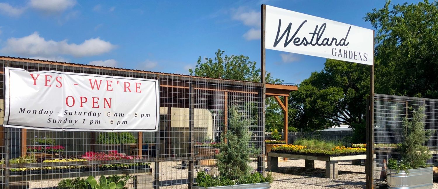 Westland 1 – signage