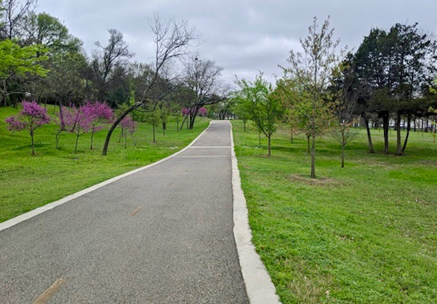 Get in your longer runs at the White Rock Lake Trail.