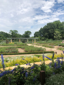 dallas-arboretum-covid-2863