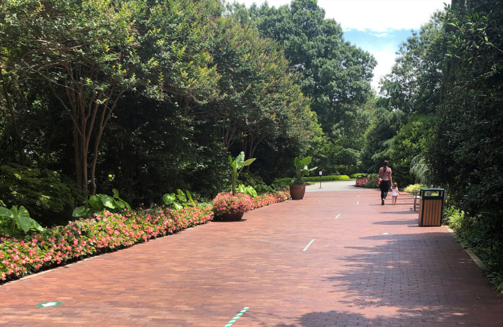 dallas-arboretum-covid-2867