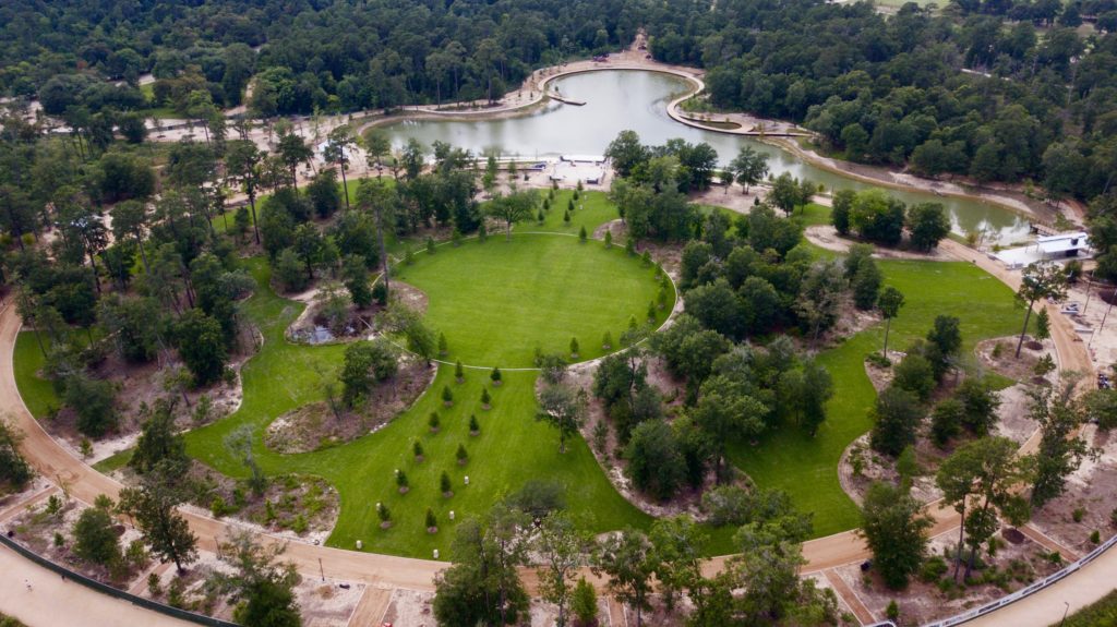 Clay Family Eastern Glades 2; Image Courtesy of Memorial Park Conservancy (Photo by Memorial Park Conservancy)