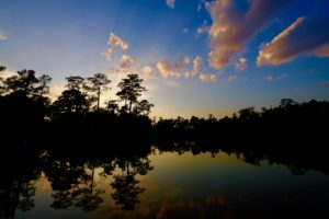 Dusk at Hines Lake in Clay Family Eastern Glades; Image Courtesy of Memorial Park Conservancy (Photo by Memorial Park Conservancy)