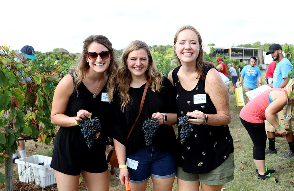 Messina Hof harvest fest