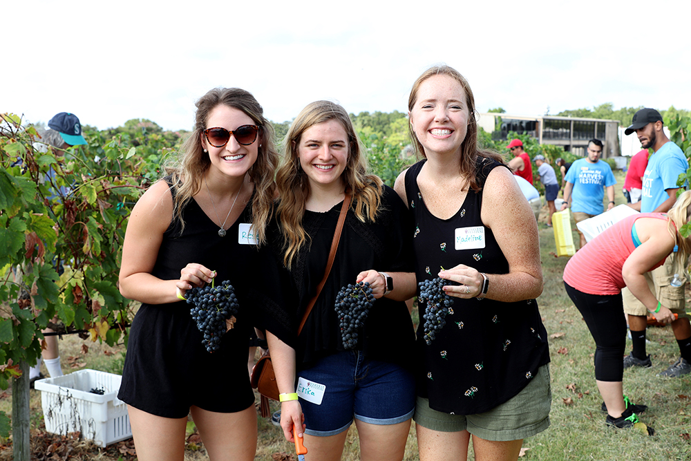 Messina Hof harvest fest